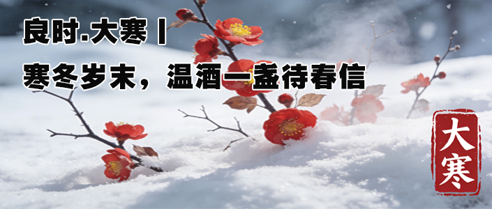 良时.大寒丨寒冬岁末，温酒一盏待春信