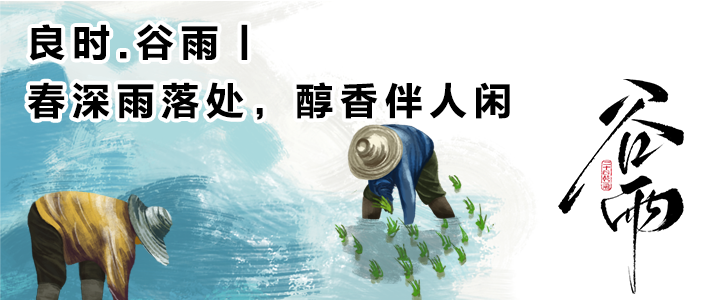 良时.谷雨丨春深雨落处，醇香伴人闲