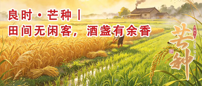 良时.芒种丨田间无闲客，酒盏有余香